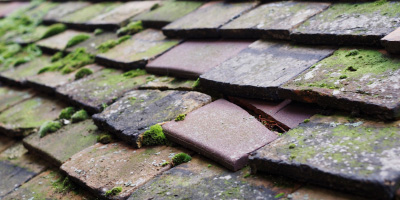 Little Woolstone roof repair costs